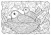 Printable Bird Nest Coloring Page