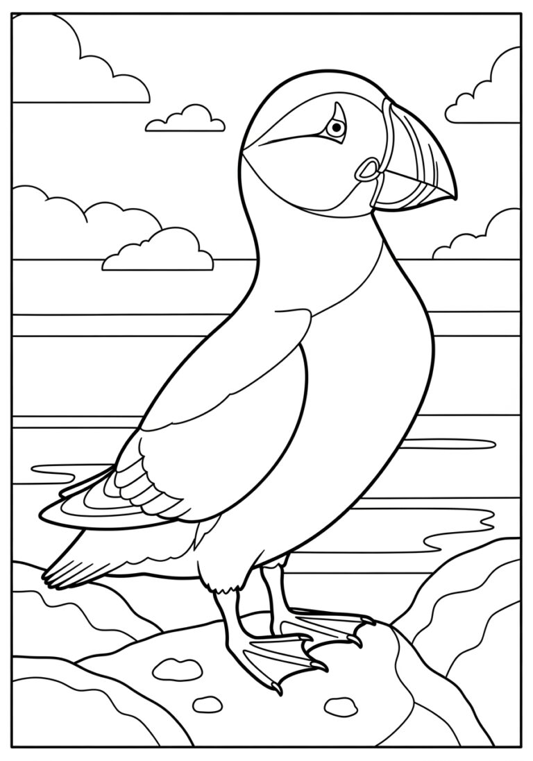 Puffin Bird Coloring Page
