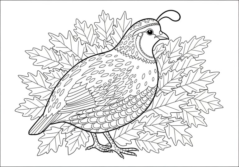 Quail in Autumn Leaves Coloring Page