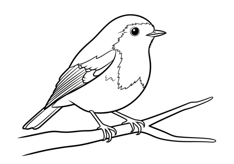 Robin Bird Coloring Page