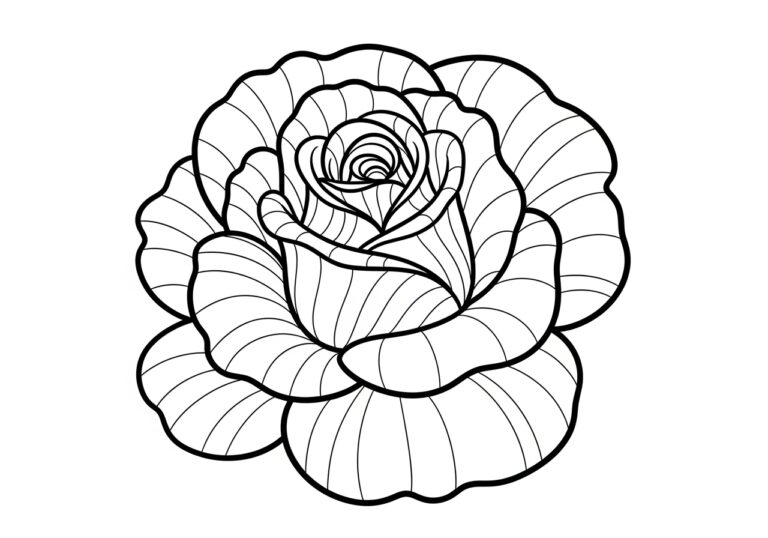 Rose Flower Coloring Page