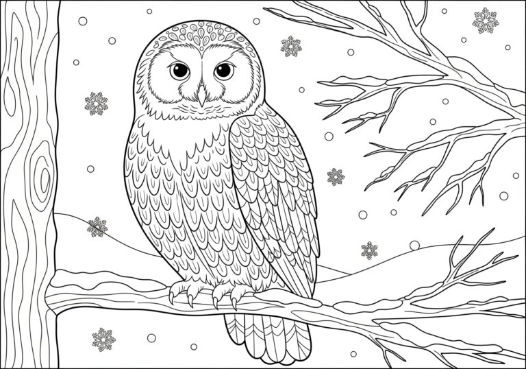 Snow Owl Coloring Page