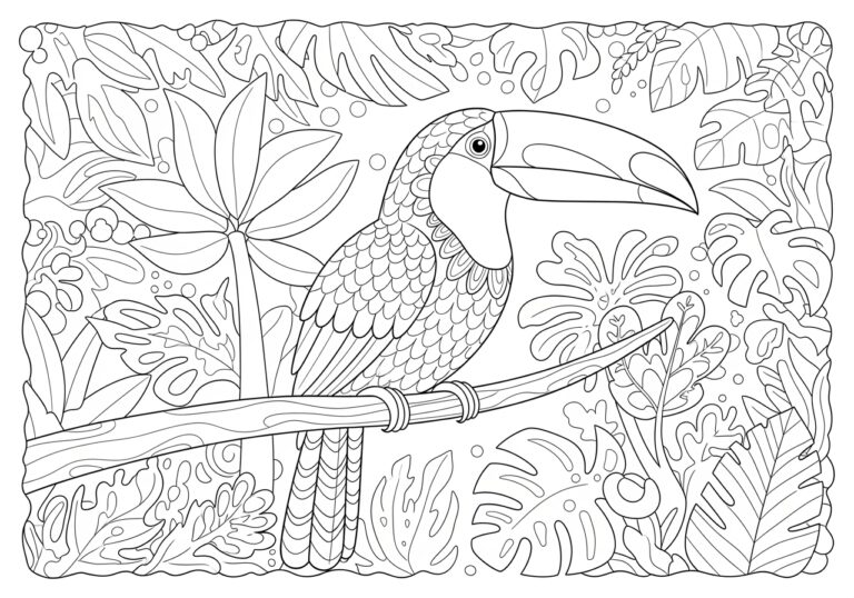 Toucan Coloring Page Colored