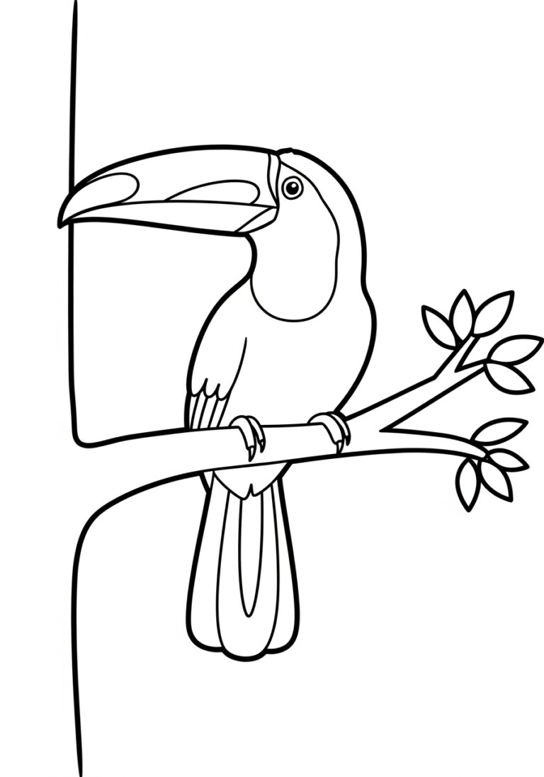 Toucan Perched on a Tree Coloring Page
