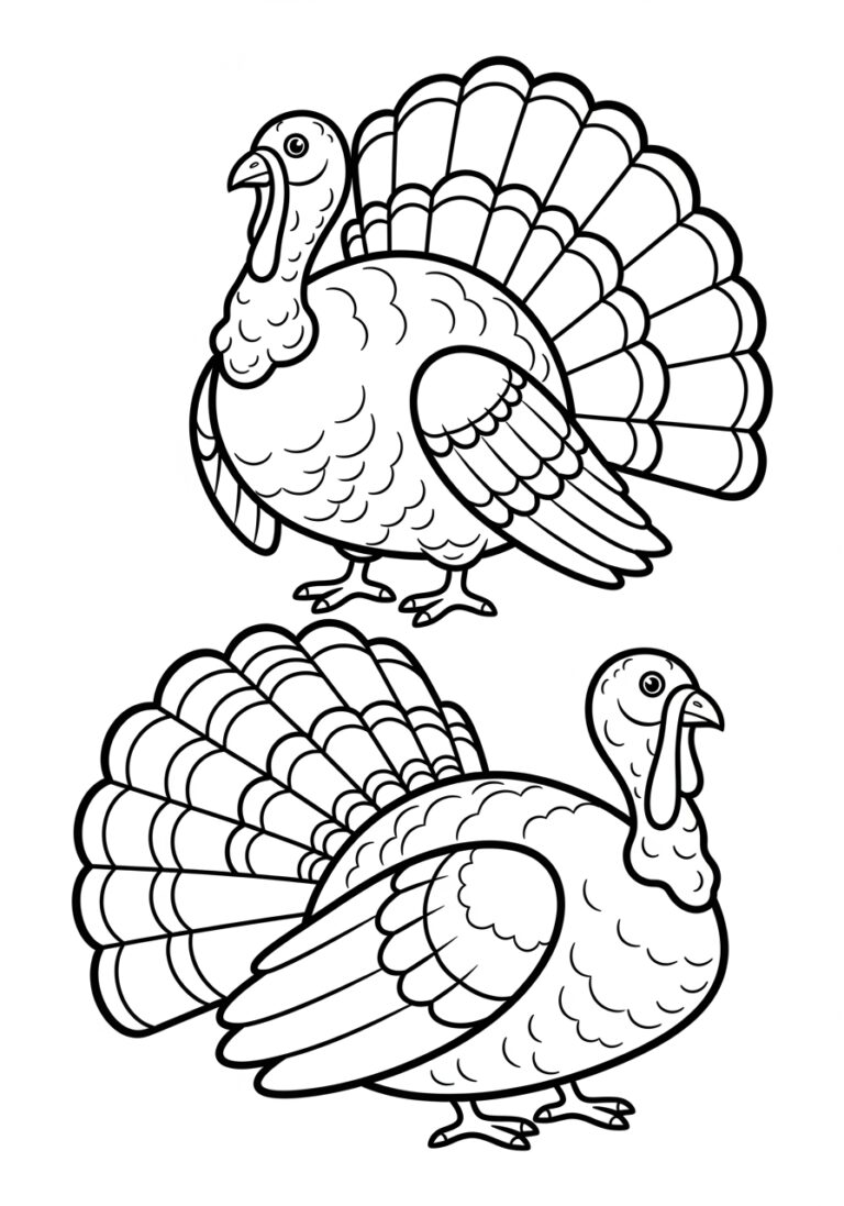 Turkey Coloring Image