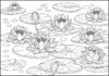Water Lily Coloring Page