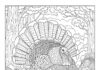 Wild Turkey Coloring Page