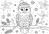 Winter Owl Coloring Page