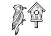 Woodpecker and Birdhouse Coloring Page