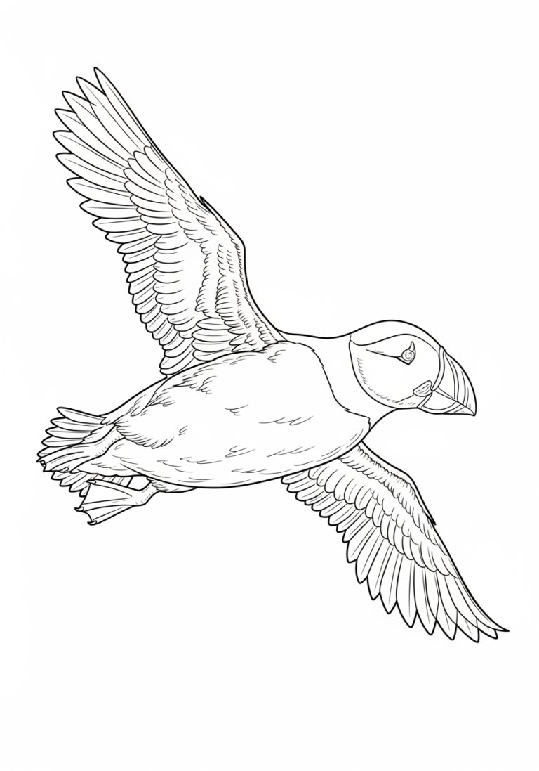 Puffin in Flight Coloring Page