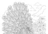 Peacock at a Spring Garden Picnic Coloring Page