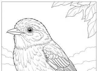 Bird Coloring Page Realistic