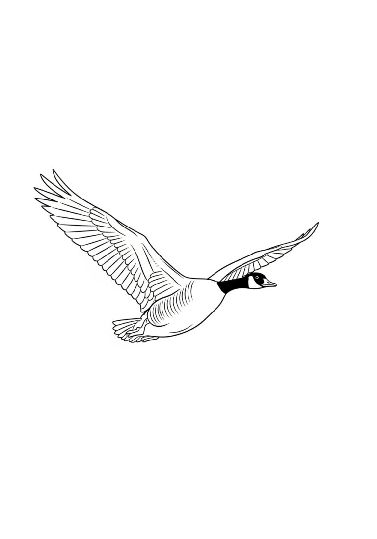 Canada Goose Coloring Page