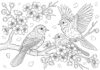 Cherry Blossom Branch with Bird Coloring Page