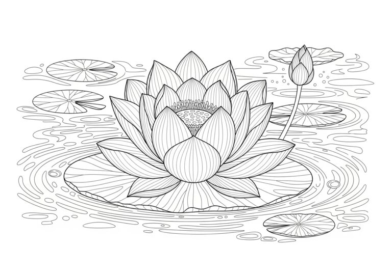Lotus Coloring Page for Adults