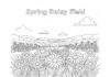 Spring Daisy Field Coloring Page