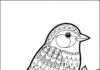 Bird on a Tree Coloring Page